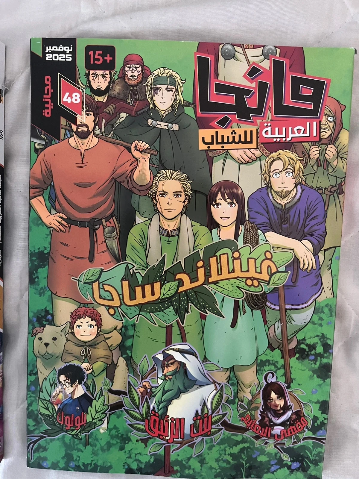 Mangas arabe – photo 4
